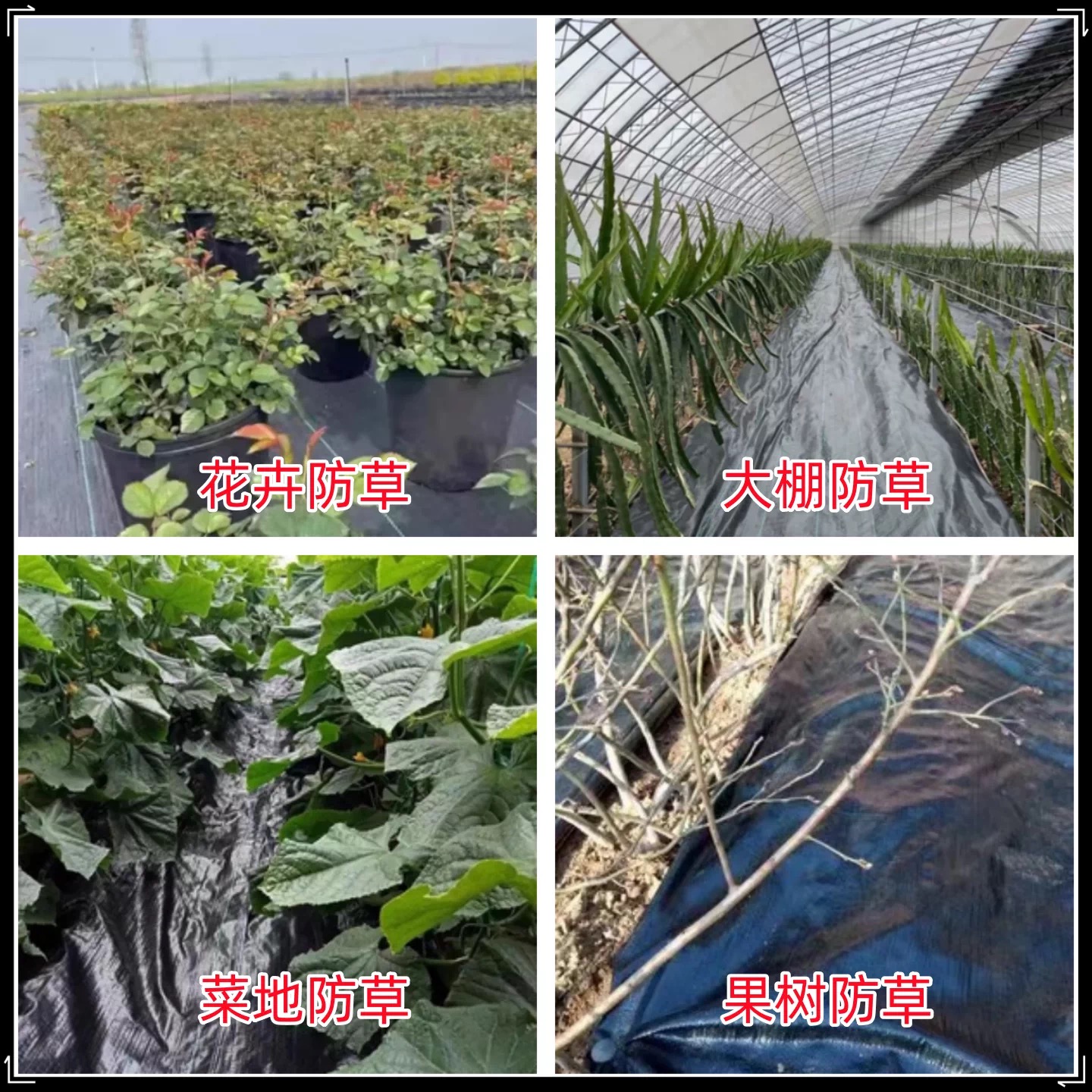 梅州市地膜防草布 - 推荐